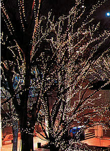 LED Lighting